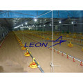 leon Automatic Pan Poultry Feeding System